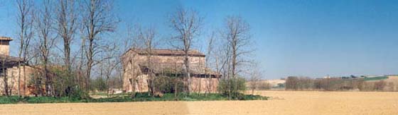 Montepulciano Landscape