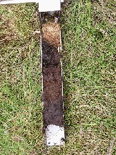  core taken from peat undisturbed for ca. 50 years after cessation of cutting