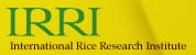 IRRI logo and link