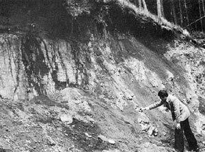 Jeff Wilson investigating the exposure of deeply weathered granite at Bennachie