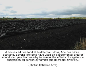 A harvested peatland at Middlemuir Moss, Aberdeenshire, Scotland. Several projects have used an experimental area of abandoned peatland nearby to assess the effects of vegetation succession on carbon dynamics and microbial diversity. (Photo: Rebekka Artz).
