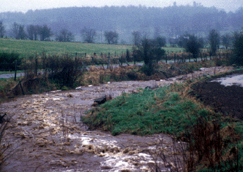 Photo of stream flooding