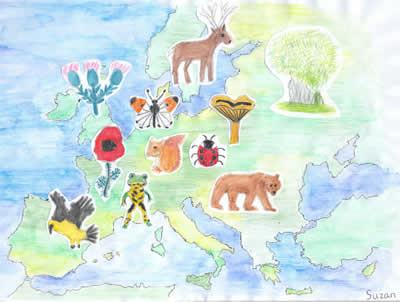 Biodiversity survey Cover by Suzan van der Wal (11 years old)