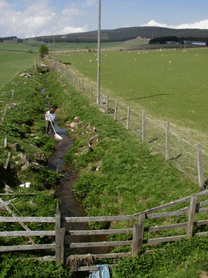 Photo of restoration work to a stream