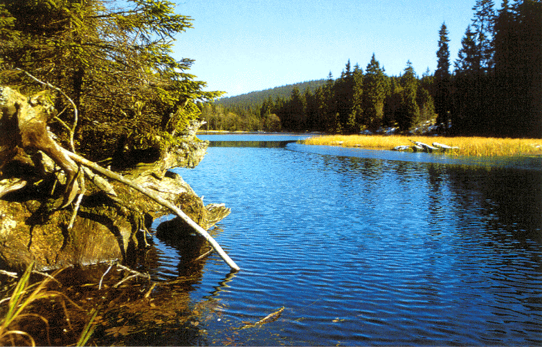 Laka Lake (M. Milfort)