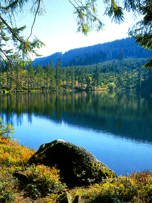 Prasilske Lake (J. Kavale)